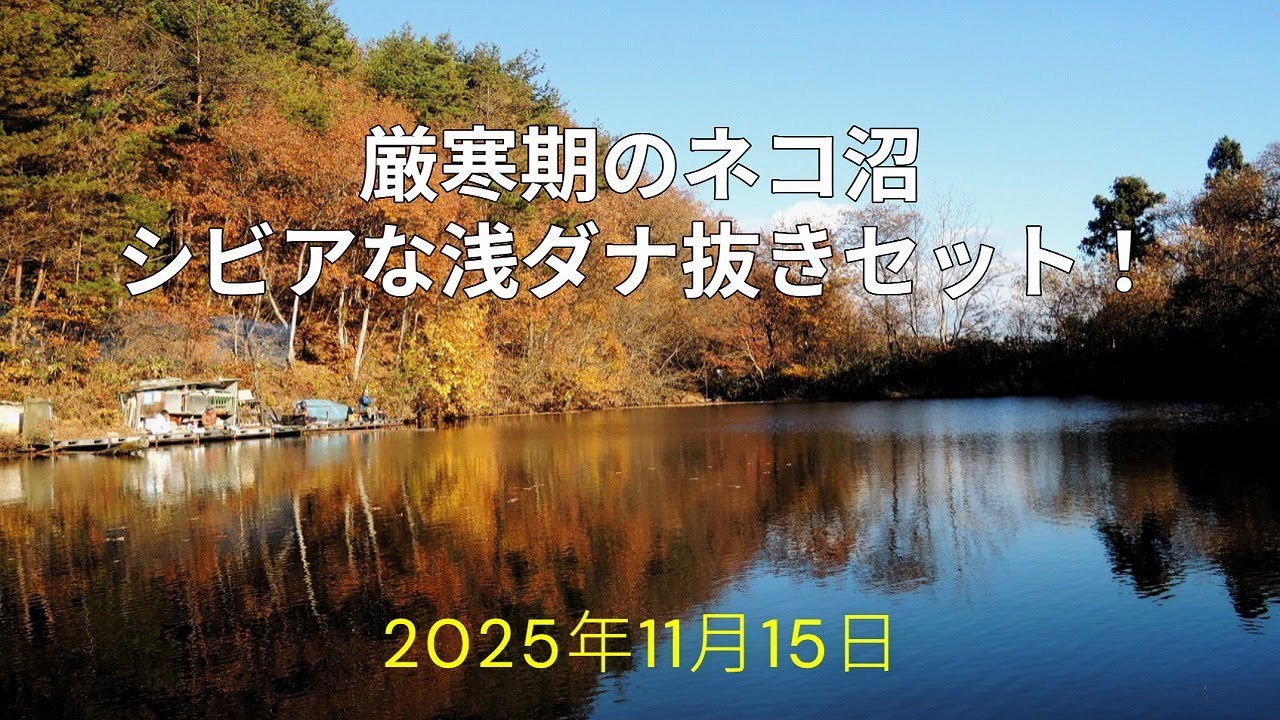 厳寒期直前のネコ沼 シビアな浅ダナ抜きセット