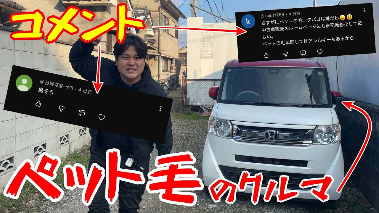 ペット毛のNスラはきれいになったのか？！