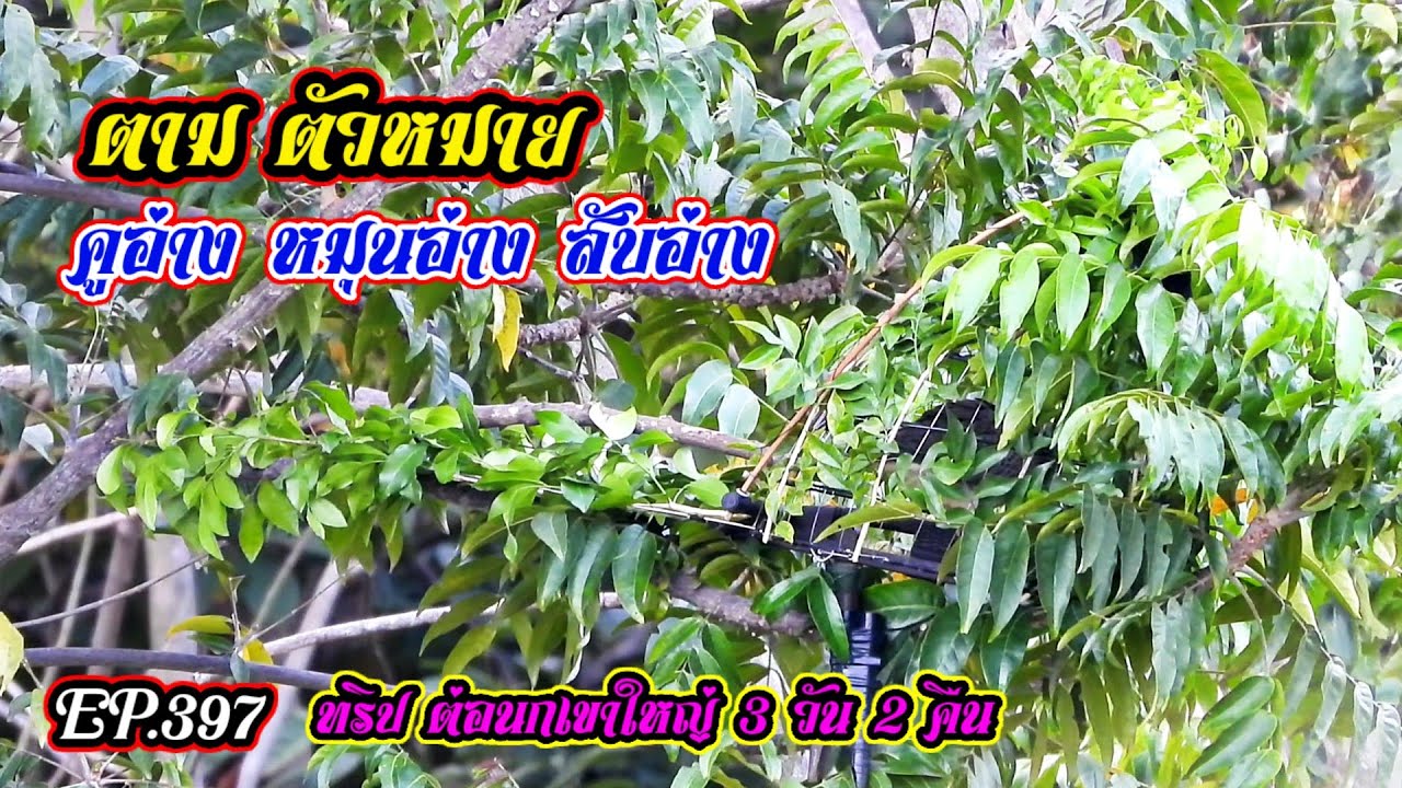 ตามตัวหมาย | คูอ่าง สับอ่าง หนุนอ่าง | ทริป 3 วัน 2 คืน EP.397