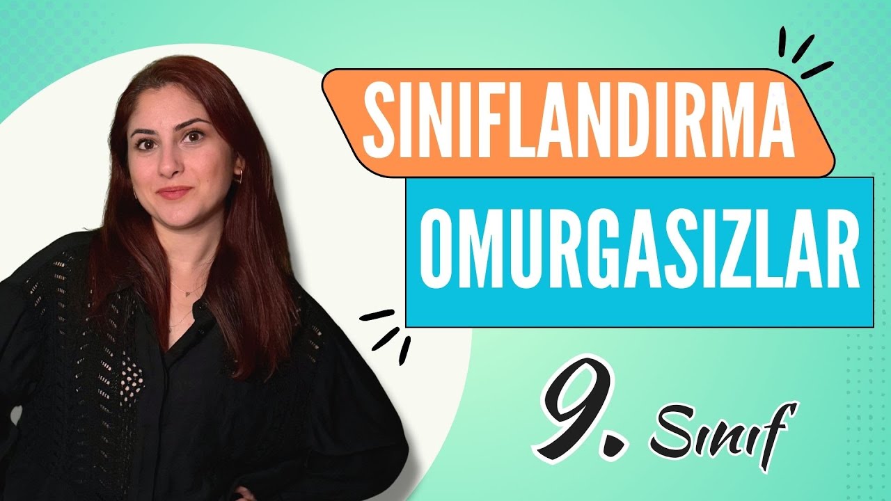 24) OMURGASIZ CANLILAR - HAYVANLAR ALEMİ 1 | 9. SINIF | TYT BİYOLOJİ DERS NOTLARI | 2024