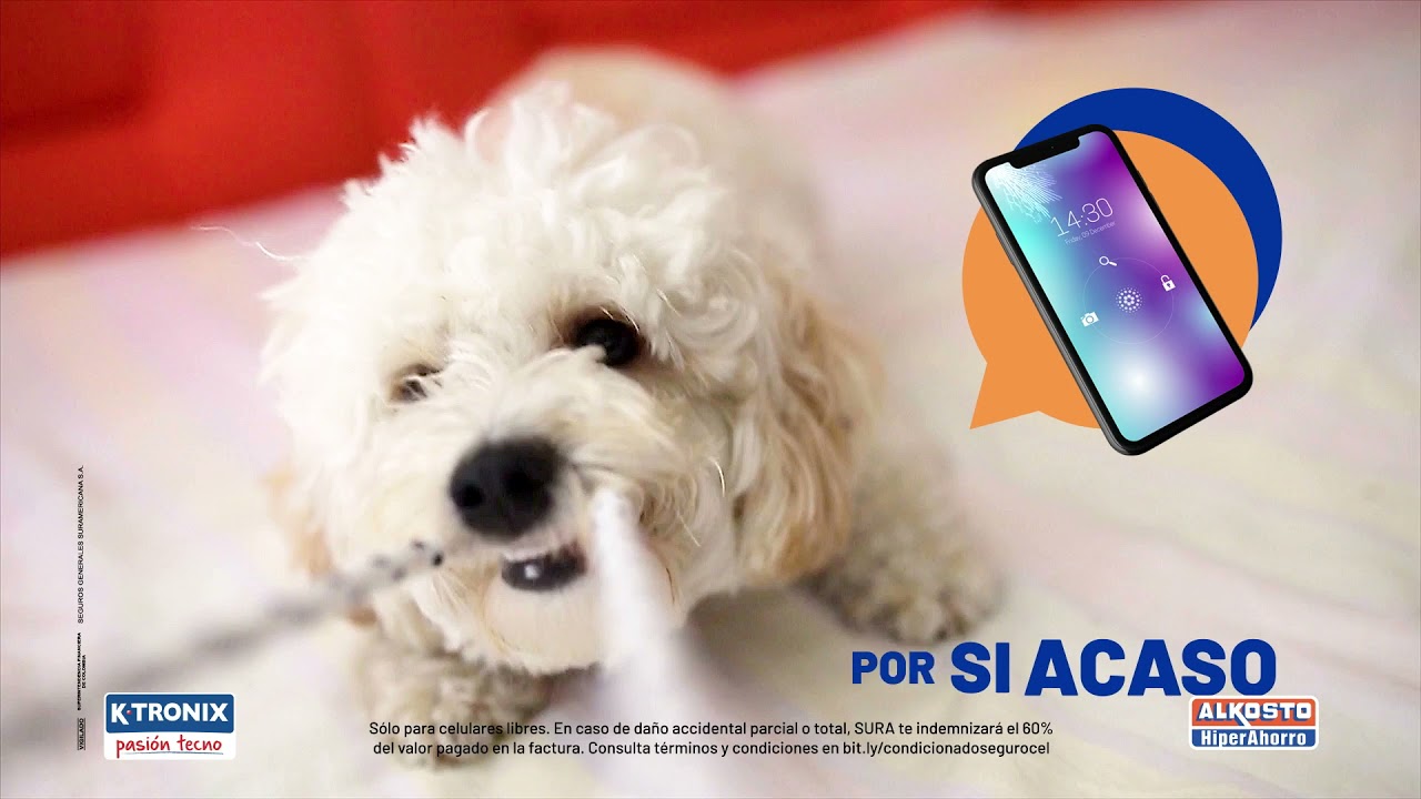 &iquest;Ya aseguraste tu celular libre con Sura y Alkosto?