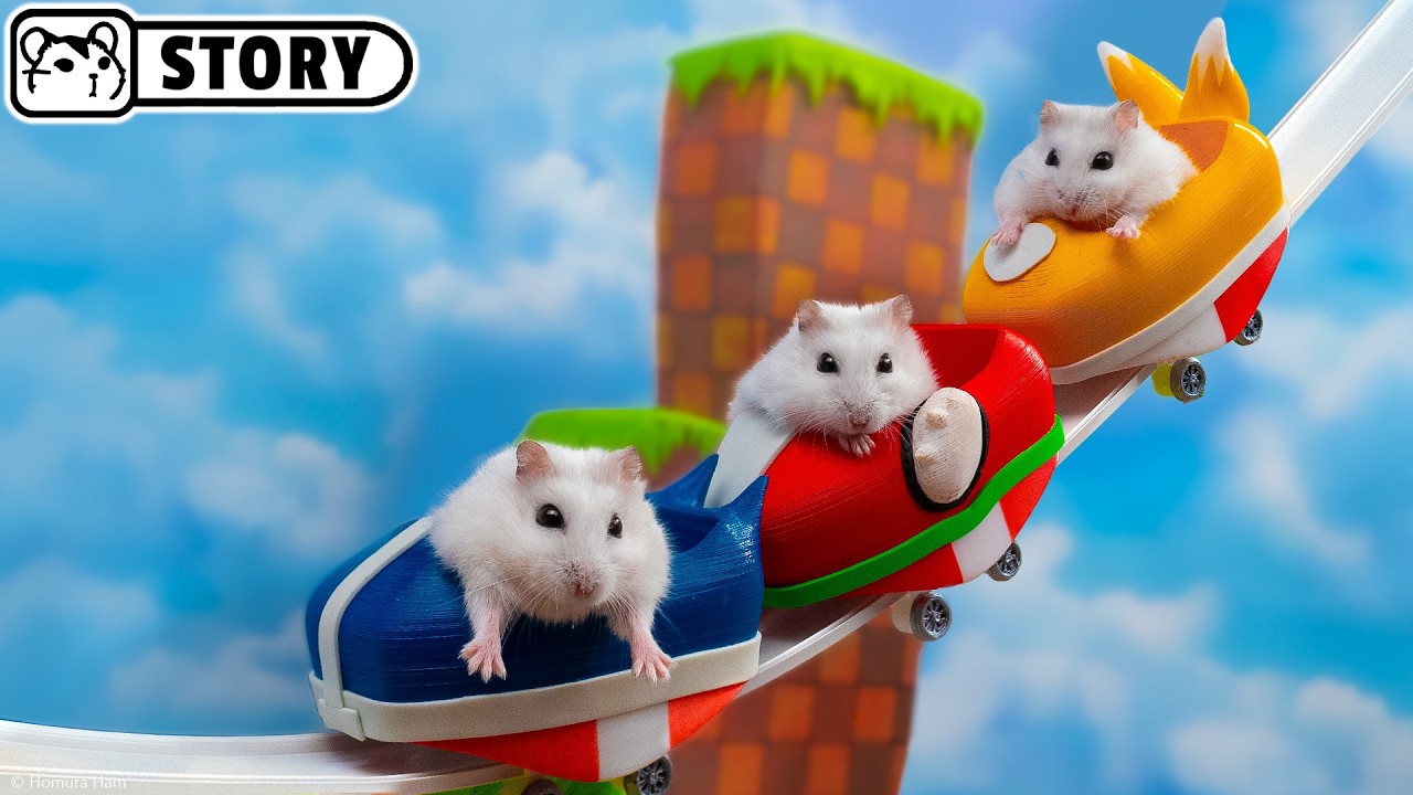 Хомяк Соник на Самых Больших в Мире Американских горках 🐹 Хомура Хам