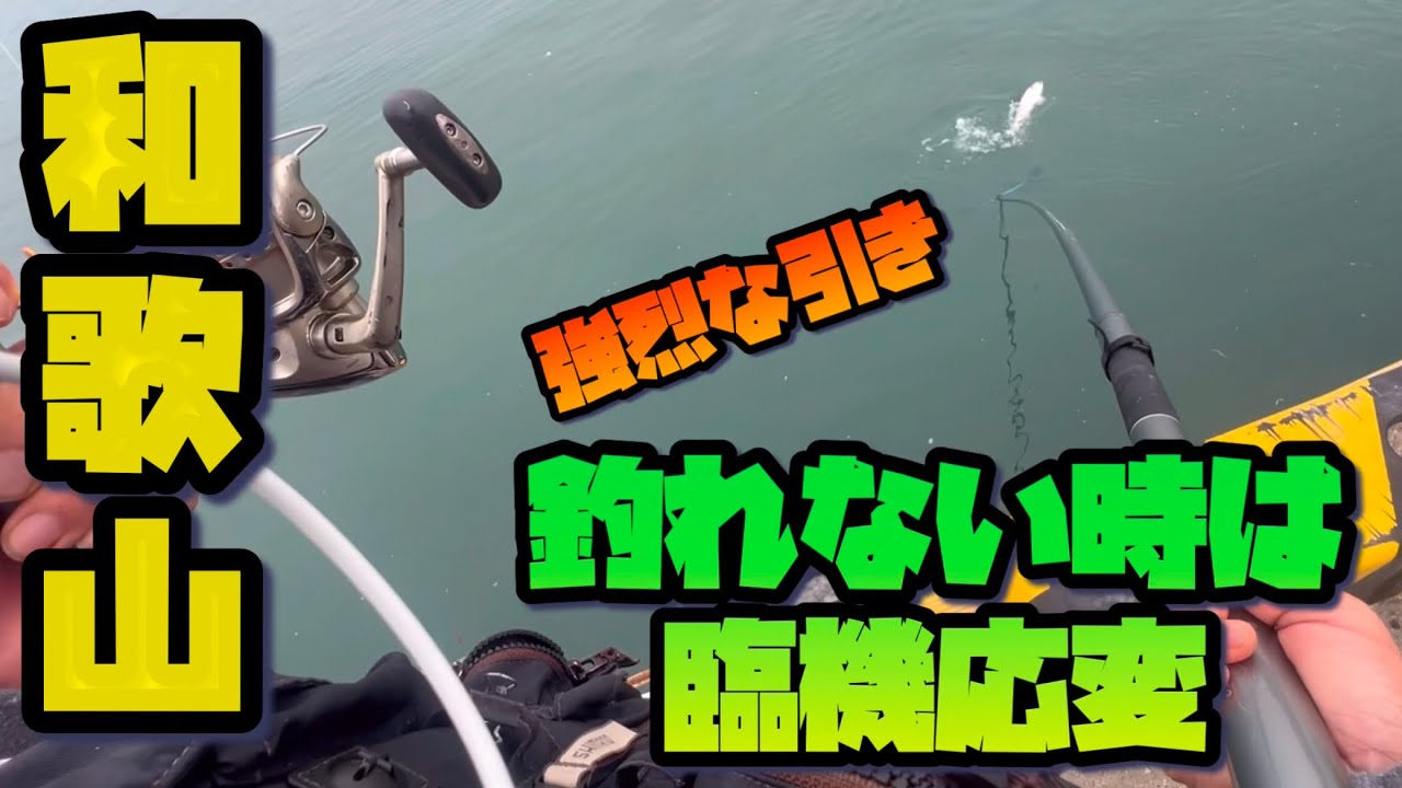 【和歌山】 釣れない時には釣れる釣りをする。