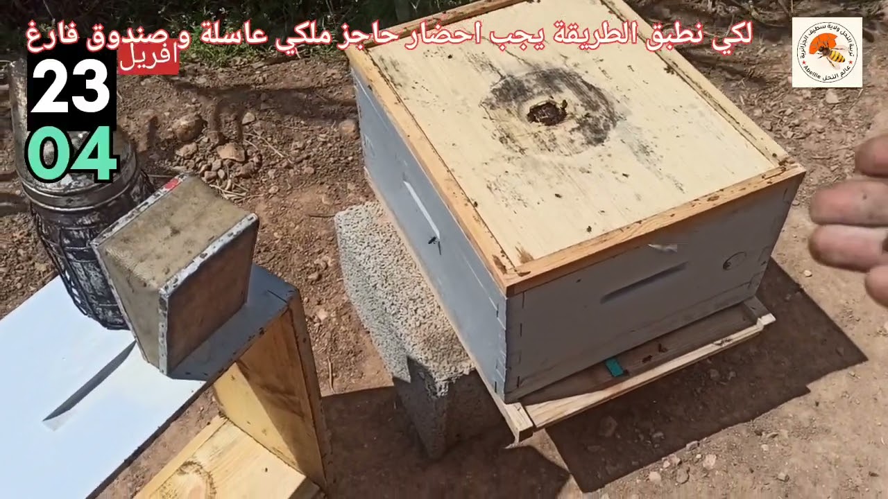 طريقتي الجديدة للتخلص من الامهات الكاذبة في تربية النحل