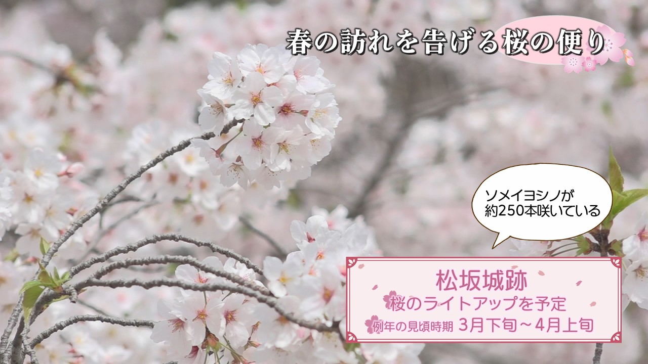 松阪市行政情報番組VOL.1861 オープニング