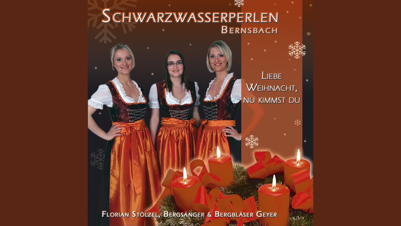 Dr Schwarzenbarger Weihnachtsmarkt