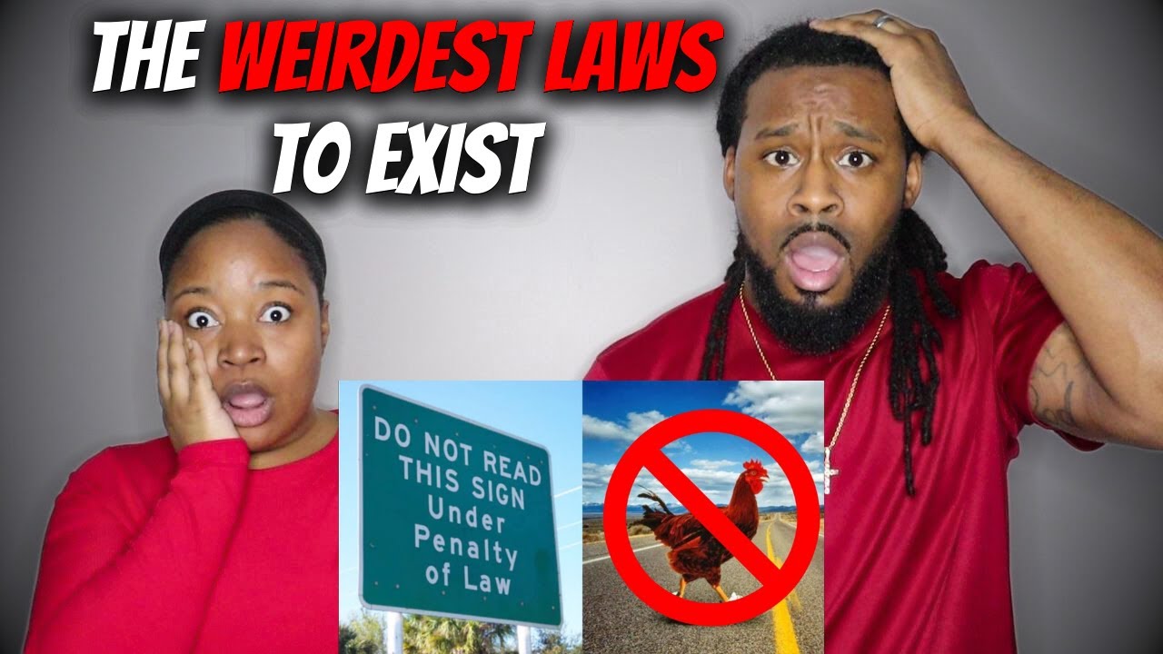 DEGENEROCITY - THE WEIRDEST LAWS | The Demouchets REACT