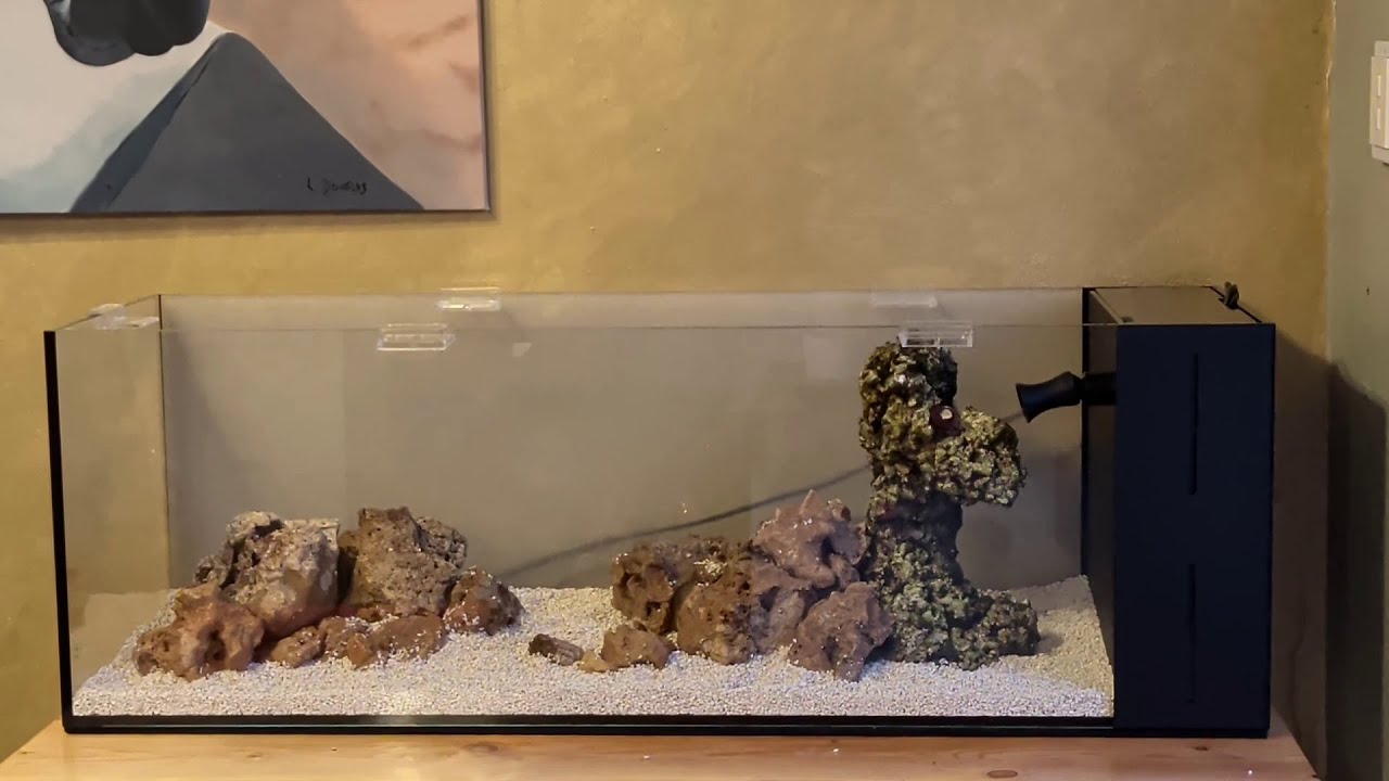 UNS 90LA Scaping TImelapse