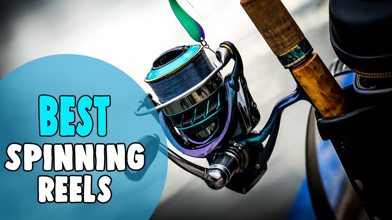 Best Spinning Reels in 2021 – Catch More Fish Efficiently!