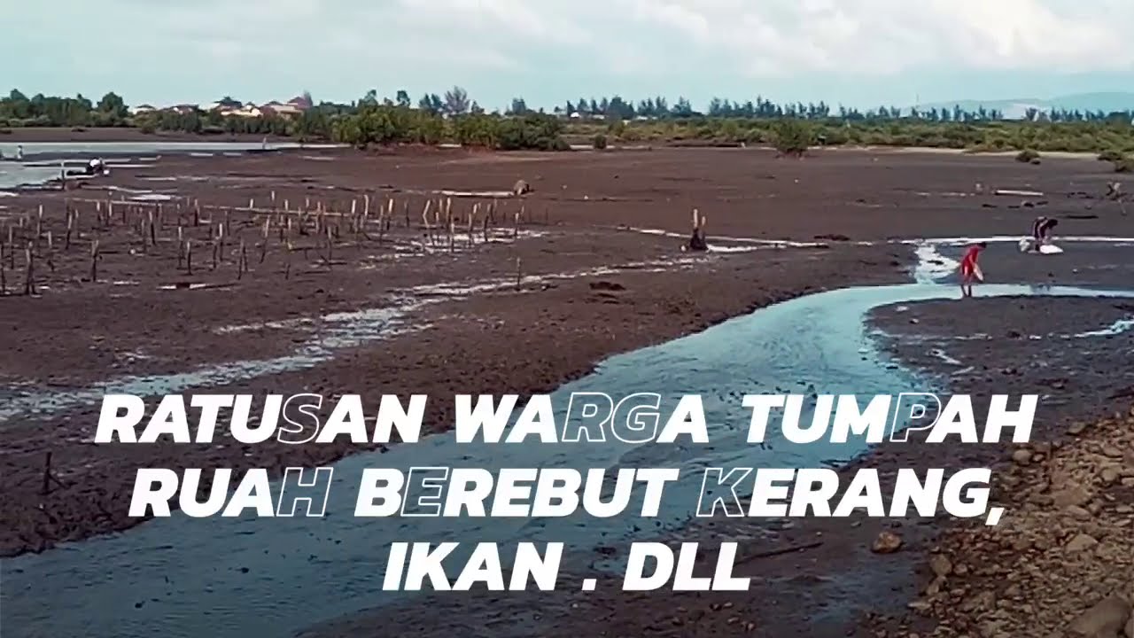 Warga berebut kerang, ikan, kepiting Dll ,,,,di pantai Lampulo,,Banda Aceh 5-2-2019