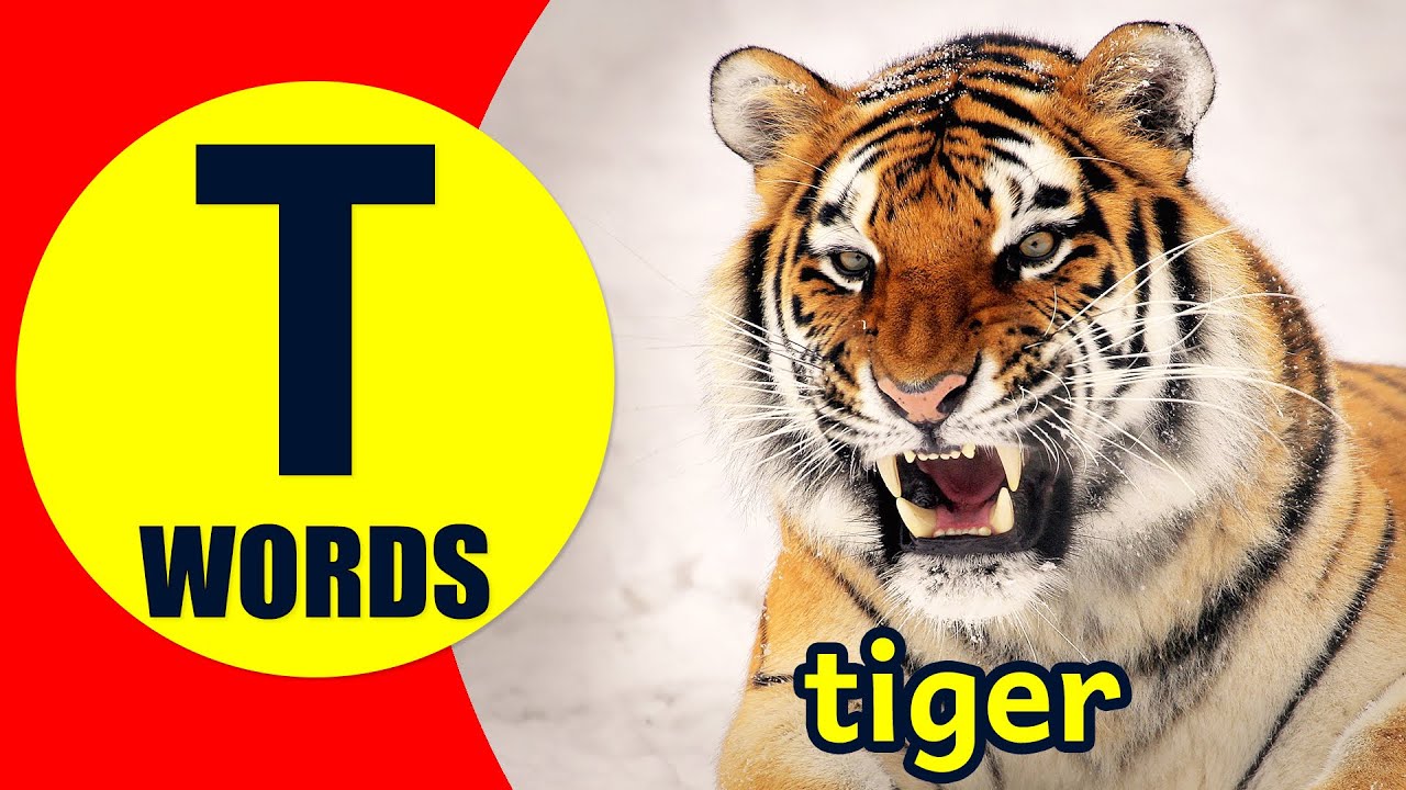 Words Starting With T - Learn Words that Start with T Sound