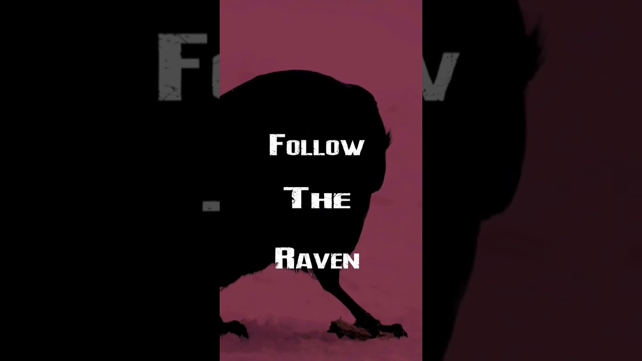 Follow The Raven 