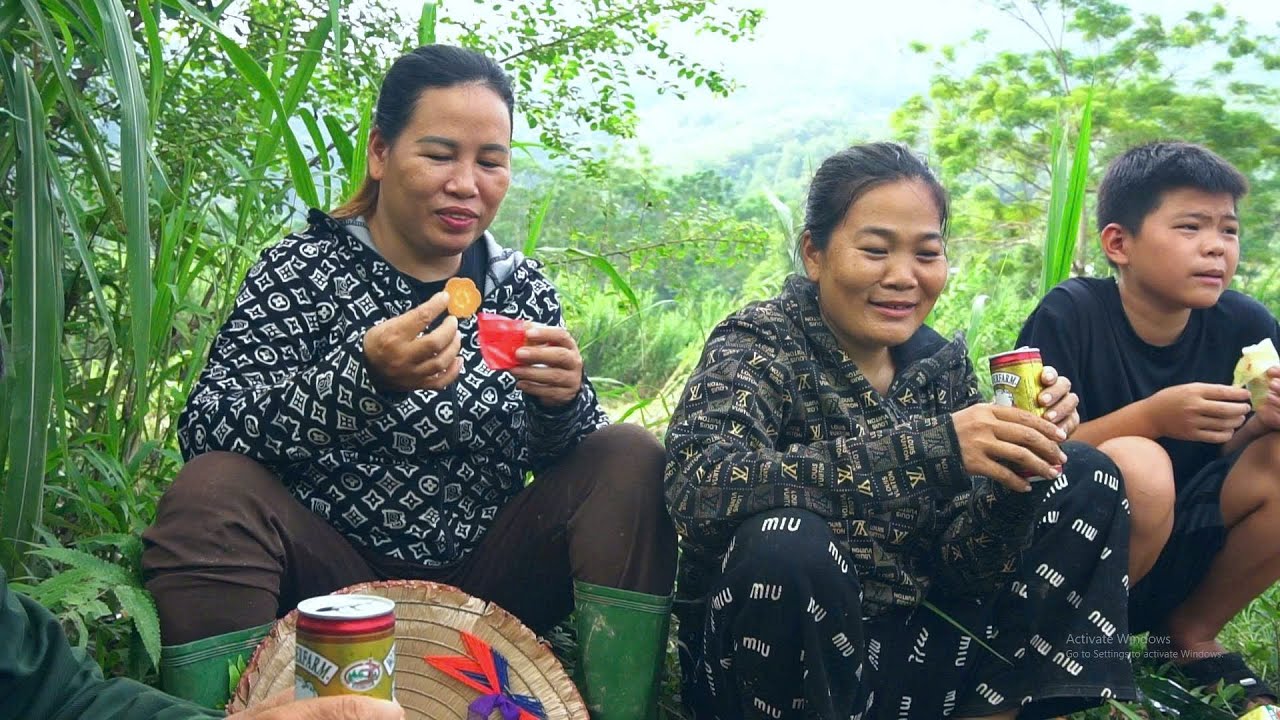 Beautiful picture of the countryside: DAN helps KONG & NHAT harvest rice destroyed by the storm