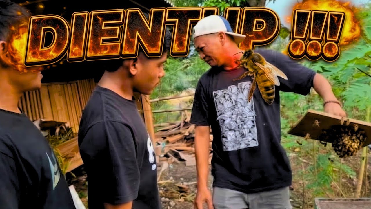 MAKSUD INGIN CEK KONDISI TAWON TERKINI || MALAH DI SERANG 