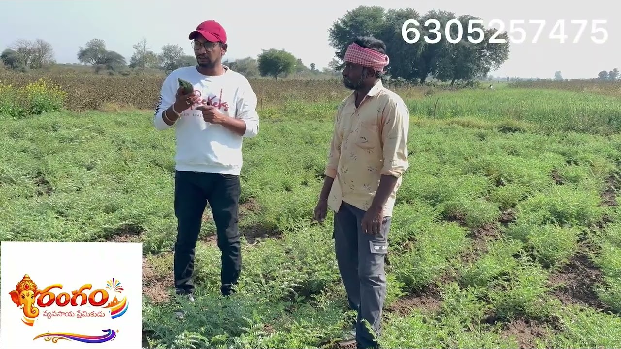 #new farming#new agricultural#old agricultural farming#news#farming 