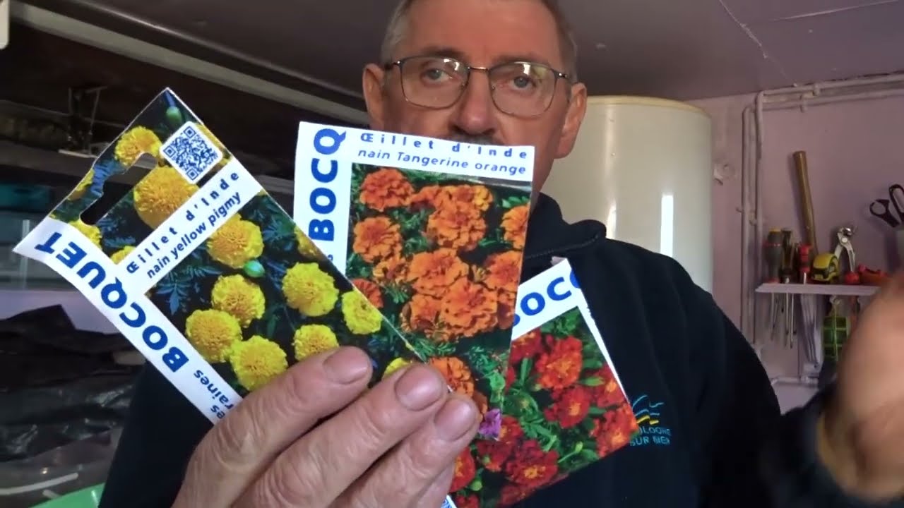 le 08/03/2024 : des fleurs pour les butineurs