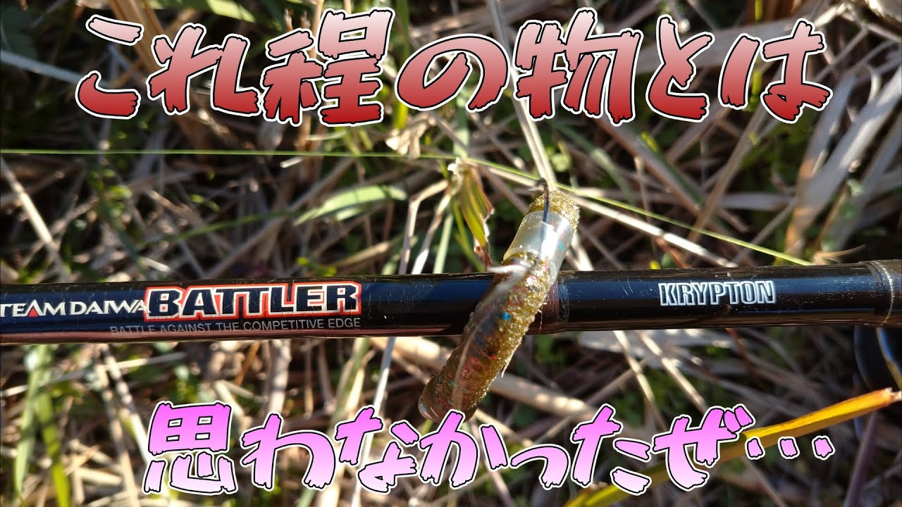 【チームダイワ】繋ぎ？馬鹿たれ超1軍だわこのやろー【バトラー】