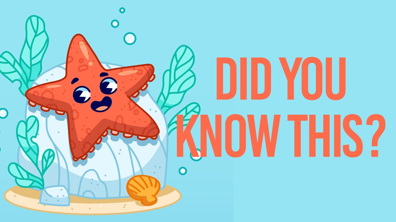Animal for Kids - What is a Starfish! #starfish  #viral #viralvideo #love  #animals #animation