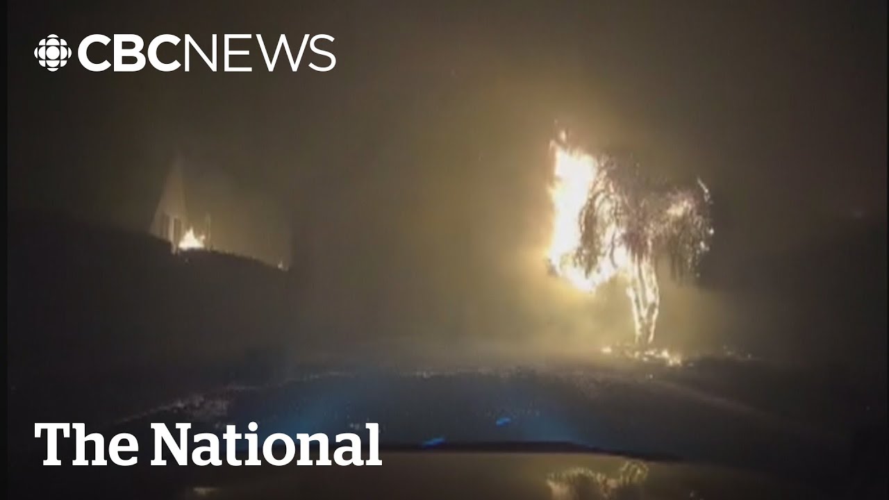 #TheMoment a man drove into the L.A. fires to save a woman and her dogs