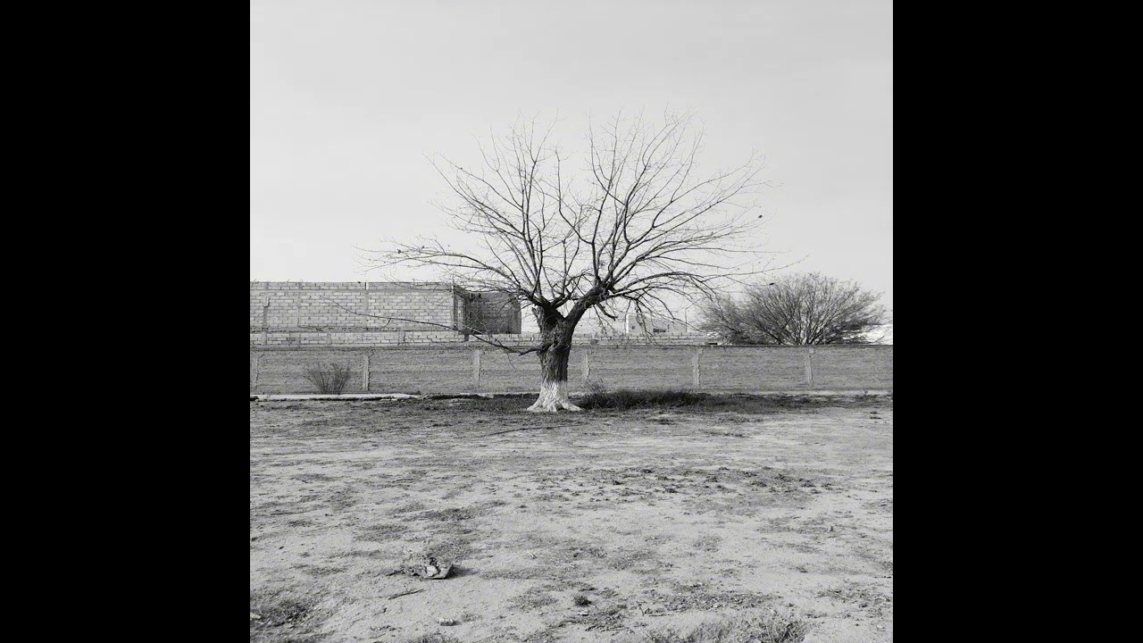 Tribulación 