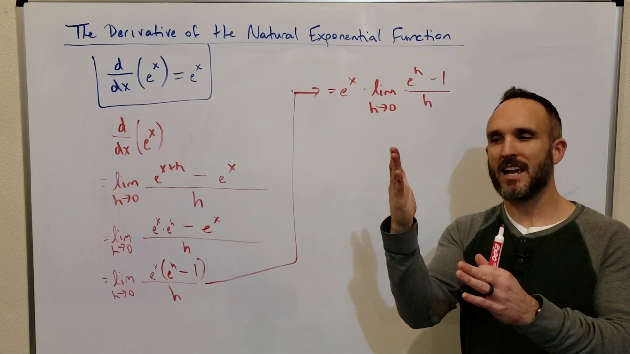 The Derivative of the Natural Exponential Function