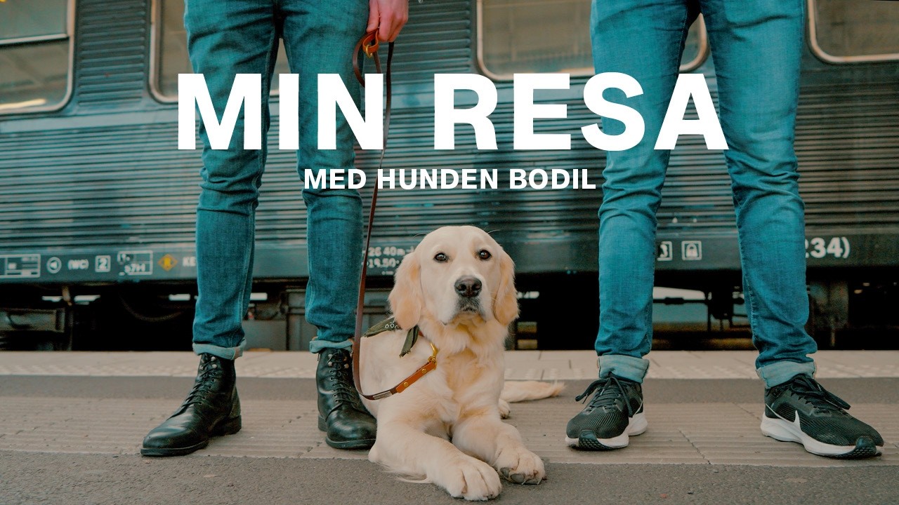 Min resa | Hunden Bodil