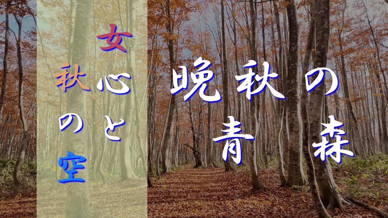 晩秋の青森 撮影散歩 八甲田山・奥入瀬・オーロラ・星空【４K】