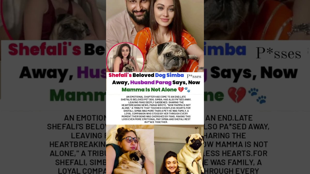 Shefali's Beloved Dog Simba P*sses Away, Parag Says, Now Mamma Is Not Alone Now#shefalijariwala#news