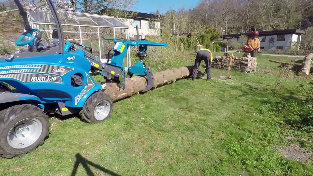 Tree Felling With MultiOne - Time Lapse