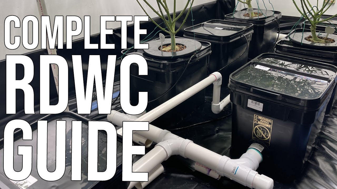 Building a 6 Plant RDWC System - DIY Current Culture Clone