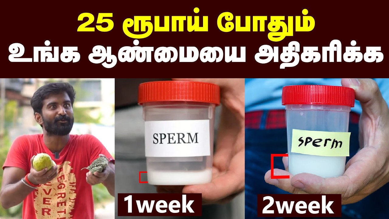 5 Foods to Increase Sperm Count🤩 | இத சாப்பிட்டால் கல்யாண வாழ்க்கை கலகலப்பா இருக்கும்🤩| Males