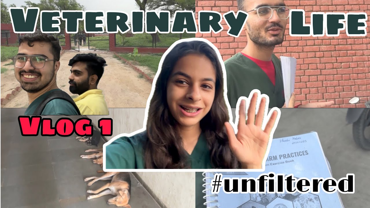 Vet Life Unfiltered 🐾 | LUVAS Hisar Vlog #VeterinaryLife #VetStudentVlog