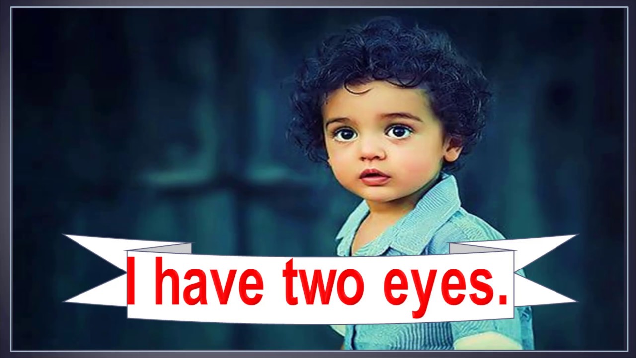 الوحدة الثانية الصف الثاني الابتدائي الجزء الثاني My Body منهج كونكت2 الجديد 2020