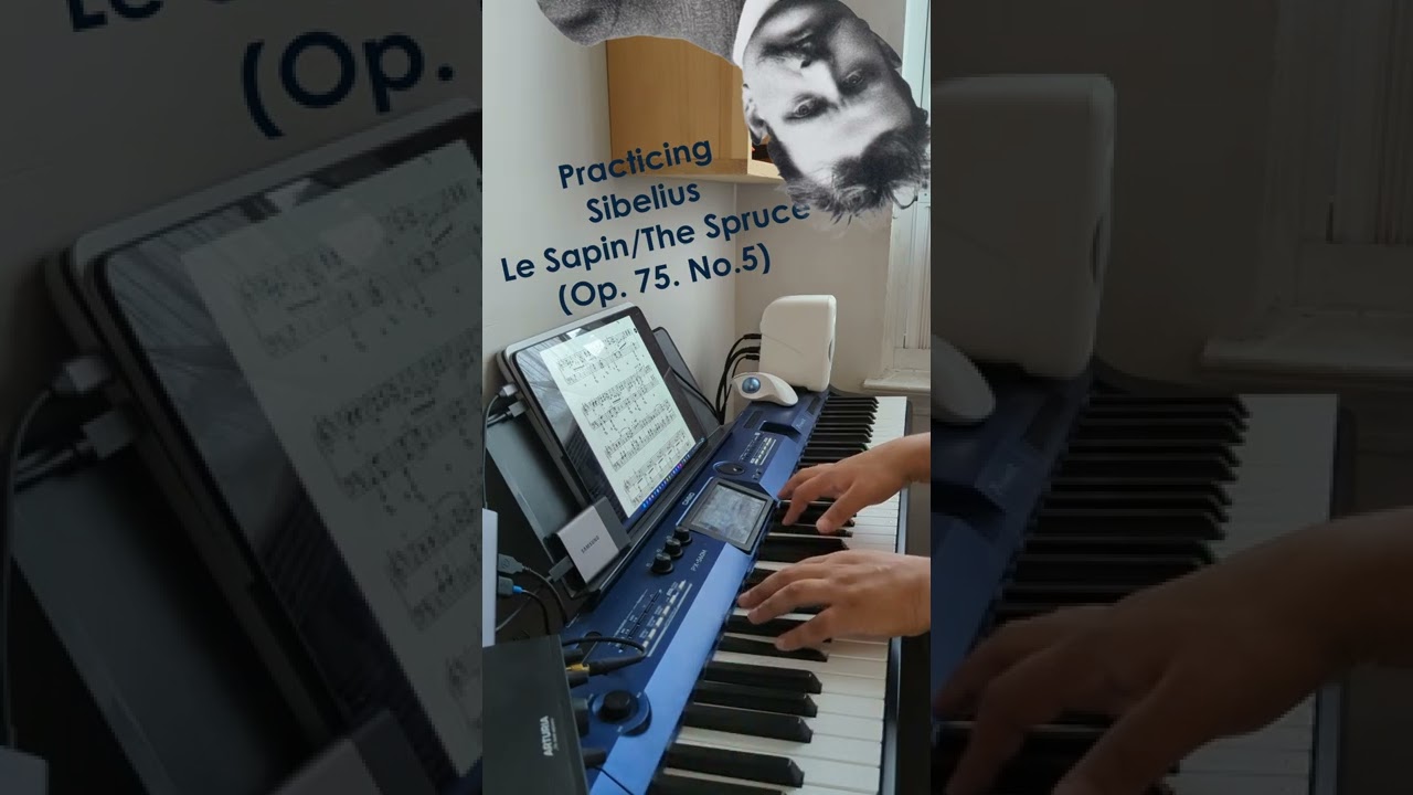 Starting to practice Sibelius' Le Sapin AKA The Spruce (Op. 75 No. 5) #Shorts