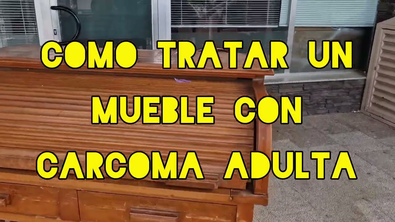 Como TRATAR CARCOMA ADULTA en Mueble de Madera Antiguo