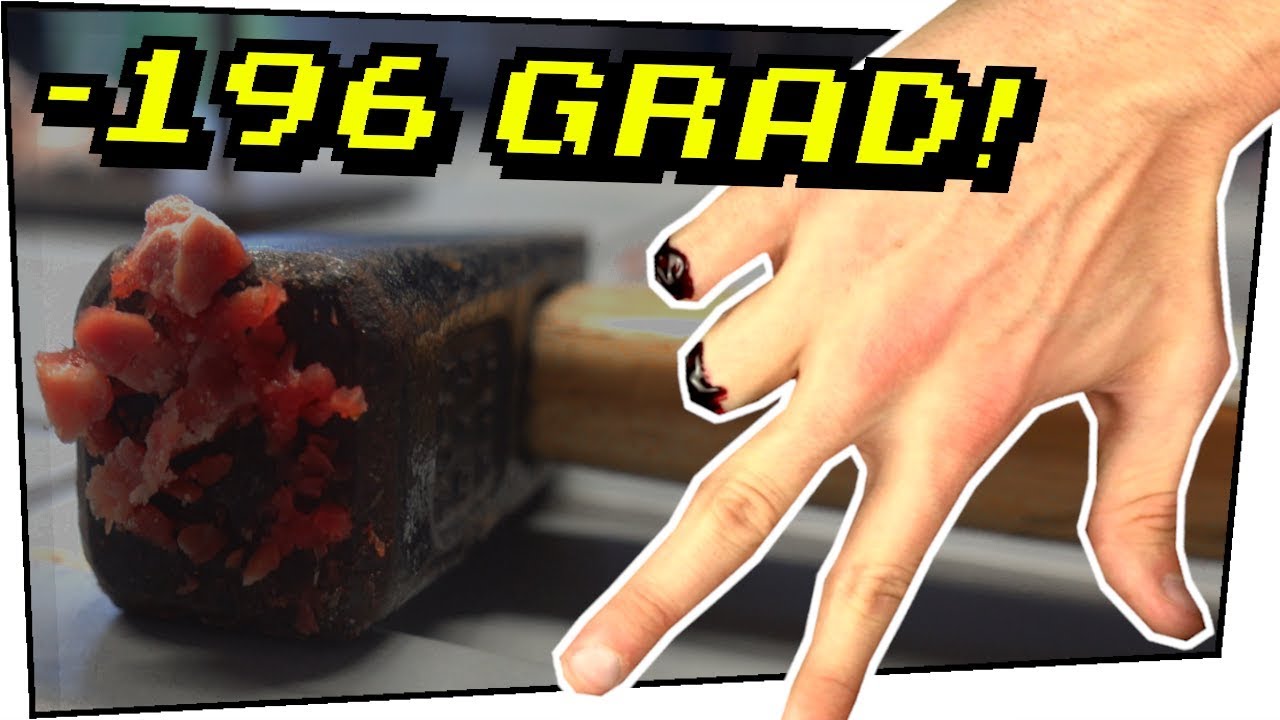 FLÜSSIGSTICKSTOFF VS FLEISCH und weitere Experimente! - Gefährliche Experimente #140