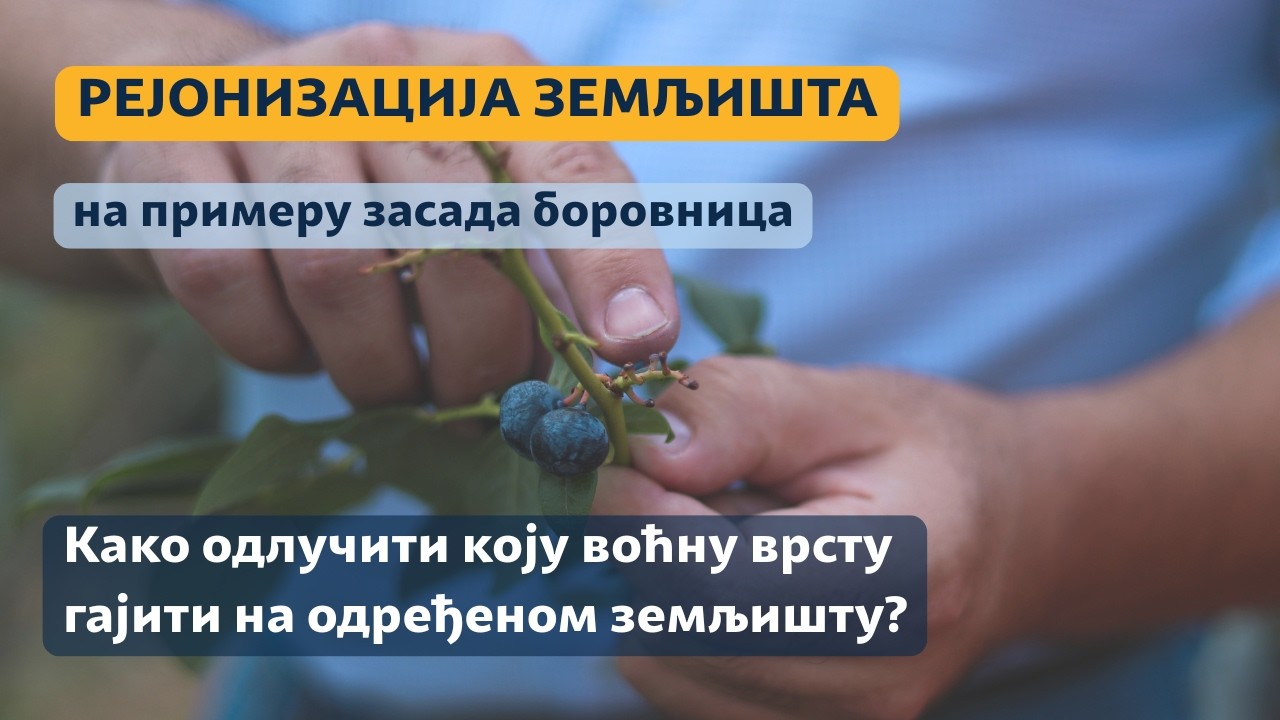 Rejonizacija zemljišta - ekspertska video lekcija EURC