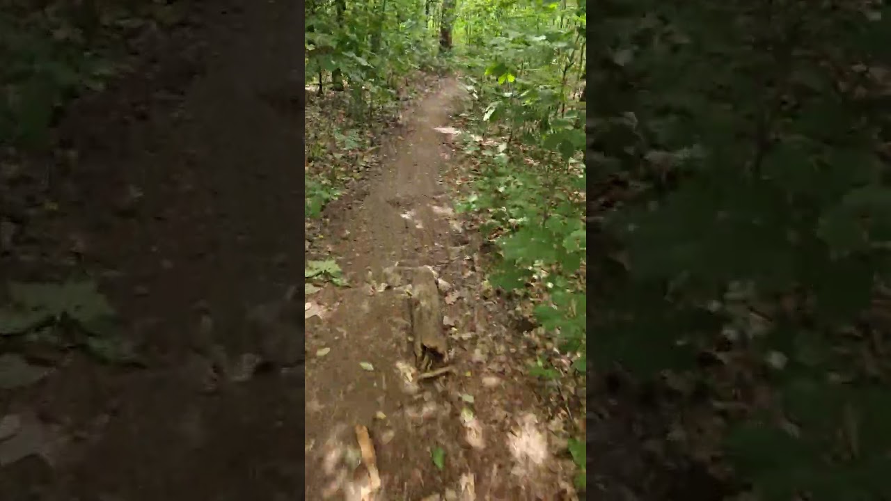 Fietsen door de bos