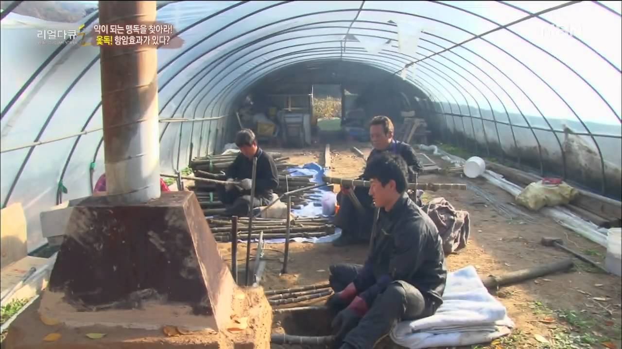 옻 진액 복용법
