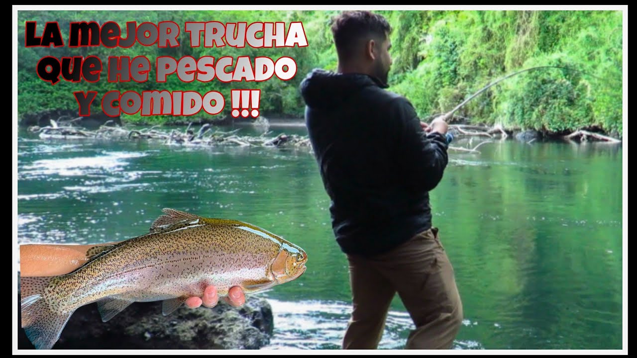 PESCA de COCINA de TRUCHA en el SUR de chile 2025|COOKED TROUT FISHING in the SOUTH of Chile 2025