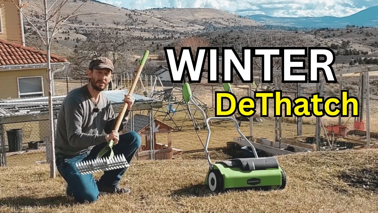 Thinking Of Dethatching Your Lawn In Winter?