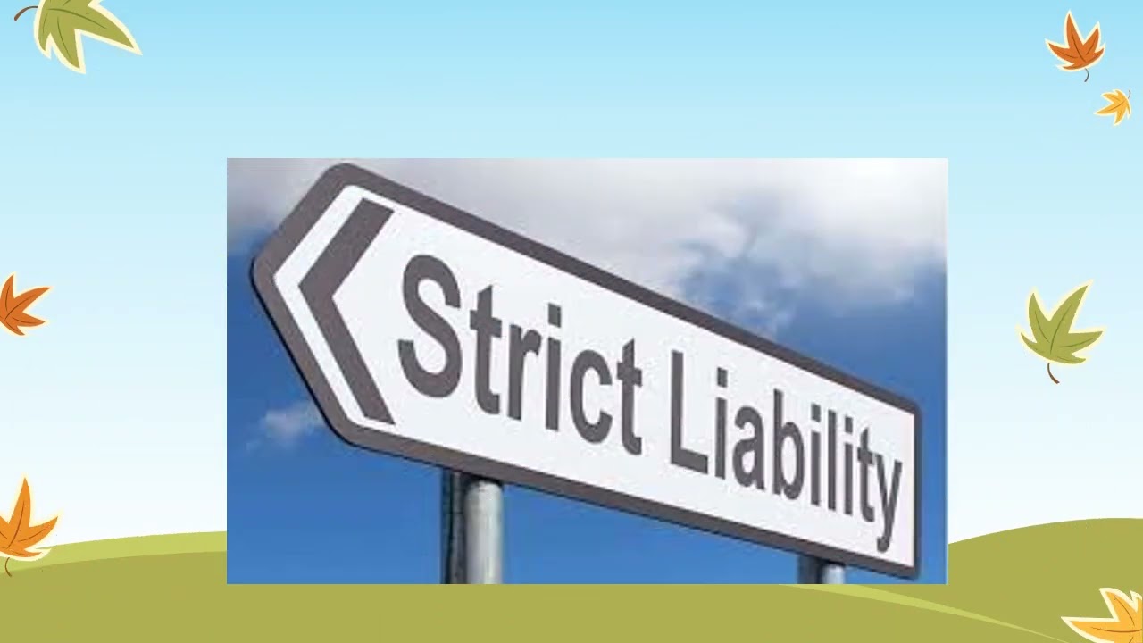 strict and vicarious liablity demo
