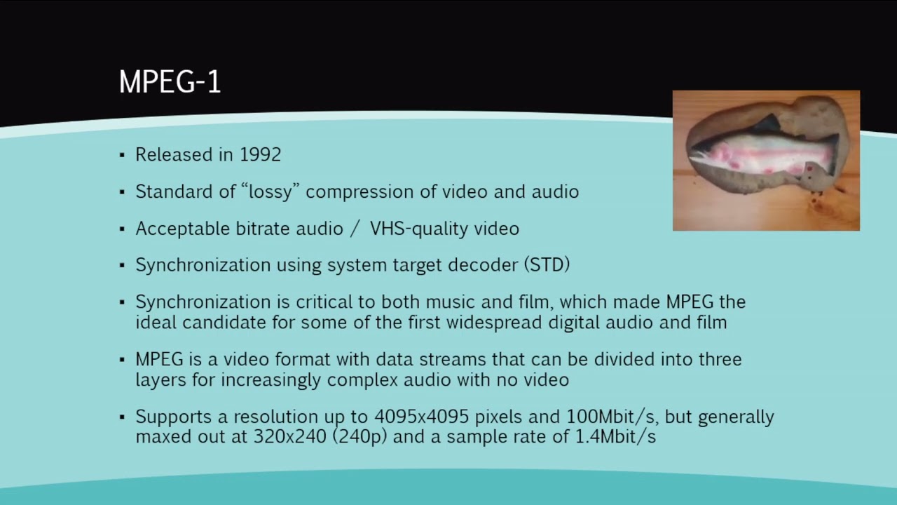 INFOST 714 - MPEG Presentation
