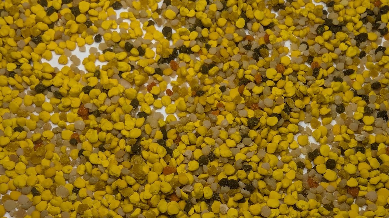 Pollen traps and treating bees with oxalic acid vapor. Summer is almost over!