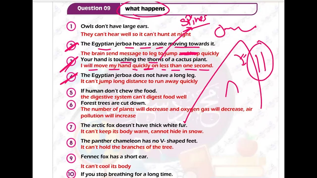 حل ملزمة المتميزساينس سنة رابعة ابتدائي SCIENCE GRADE 4 