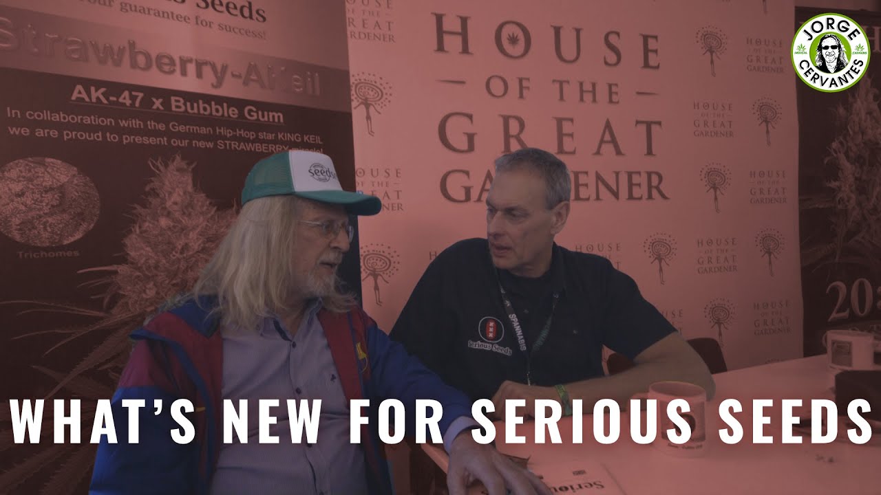 What's New For Serious Seeds? (Spannabis 2019)