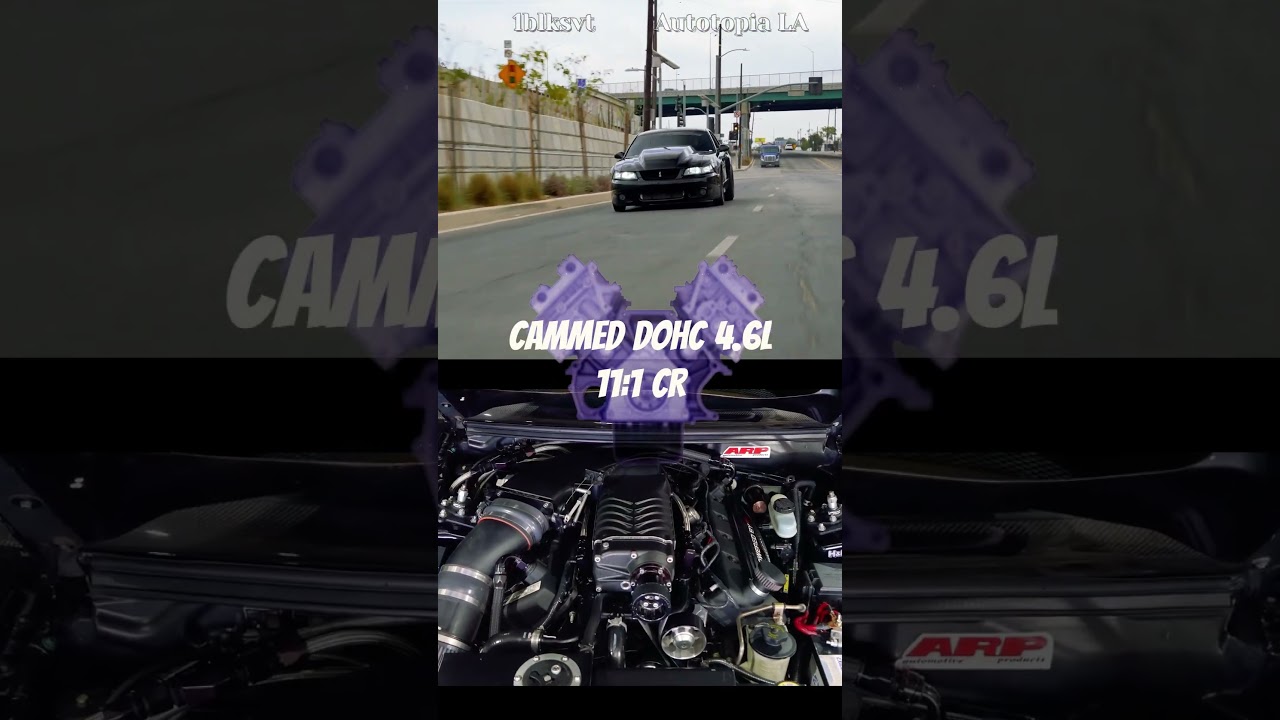 1000whp Cobra SVT Built by 1blksvt #automobile #mustang #svtcobra #fordmustang #fordperformance