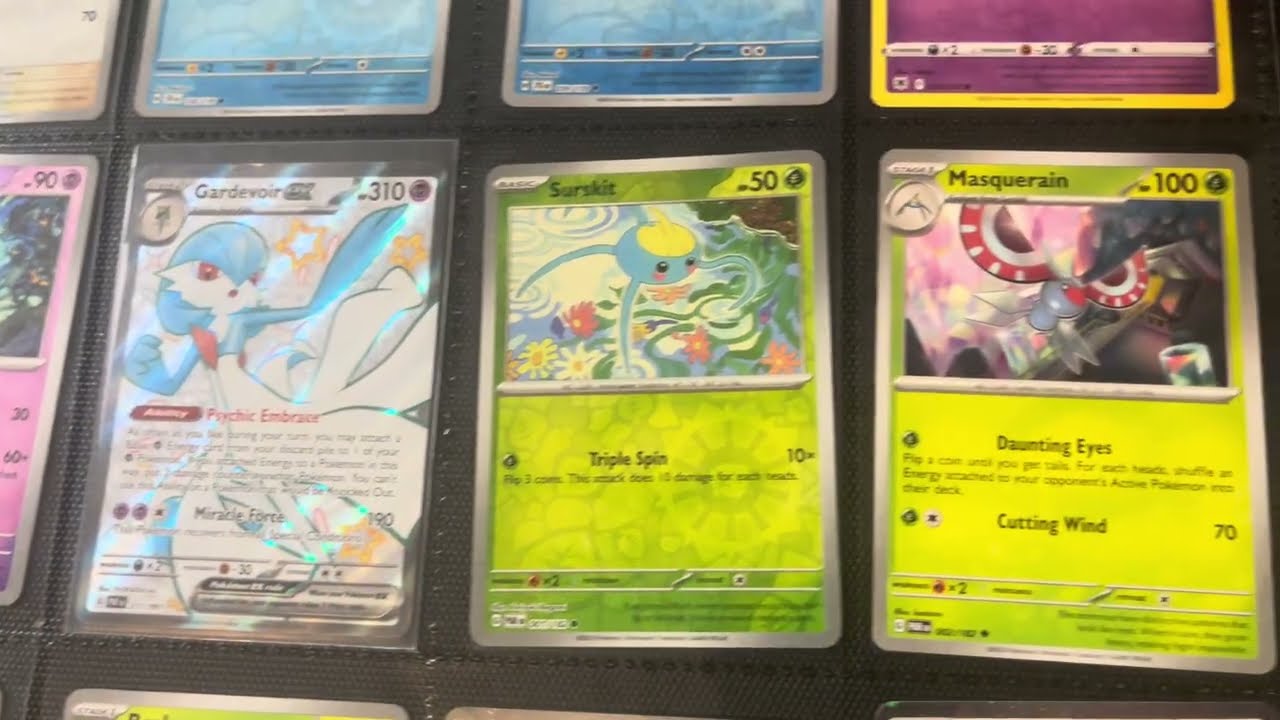 Master Pokédex Pokémon Card Binder Gen 3 Reveal