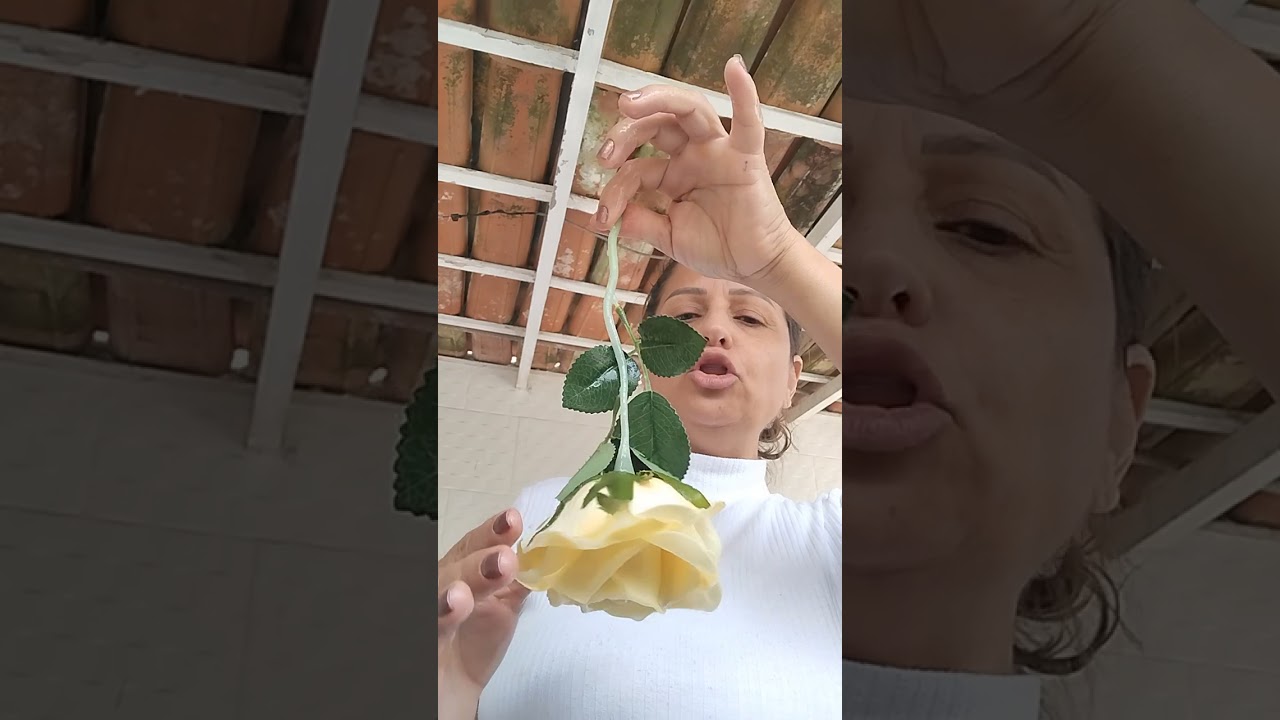 como renovar flores artificiais.