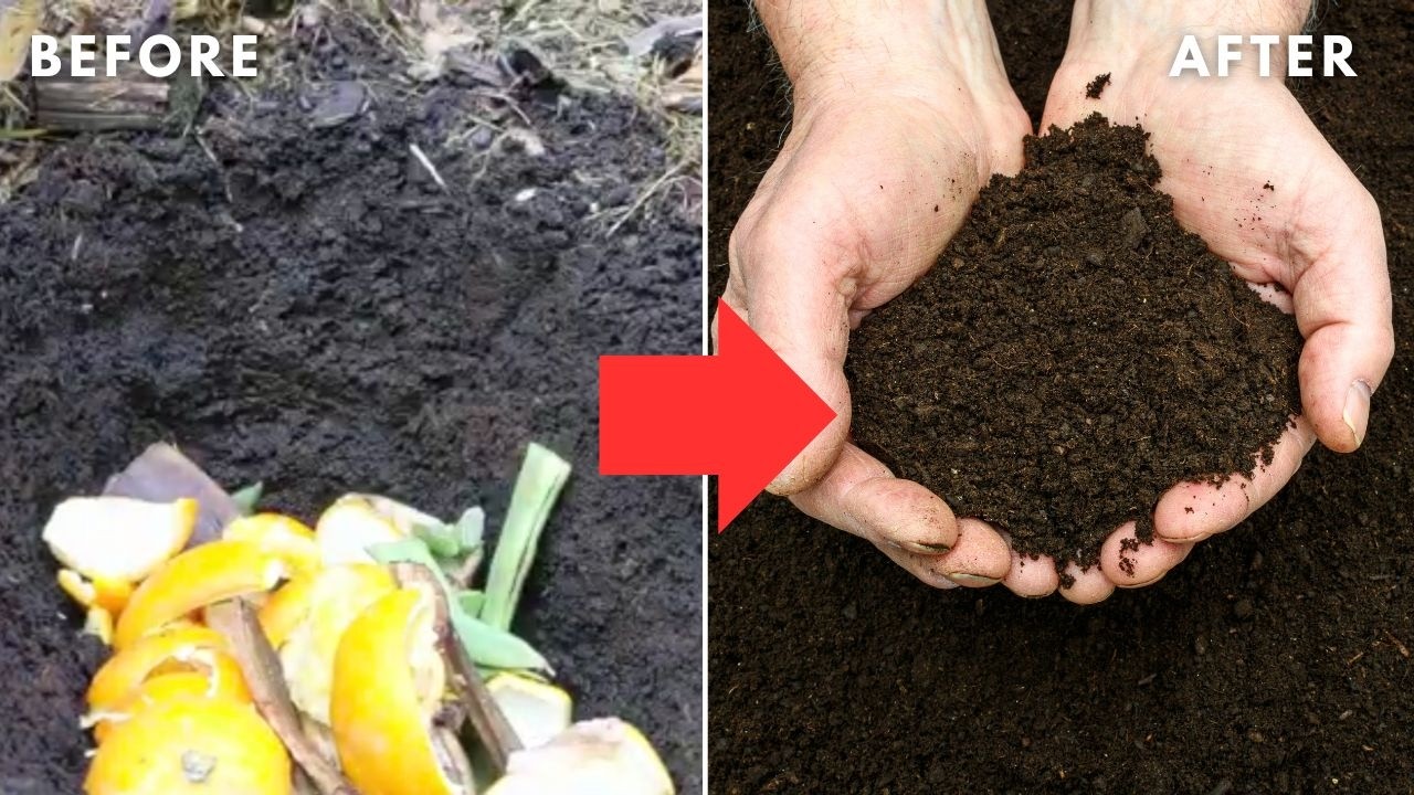 Bury Food Scraps in Your Garden This Year for Increased Harvests (The Lazy Composting Method)